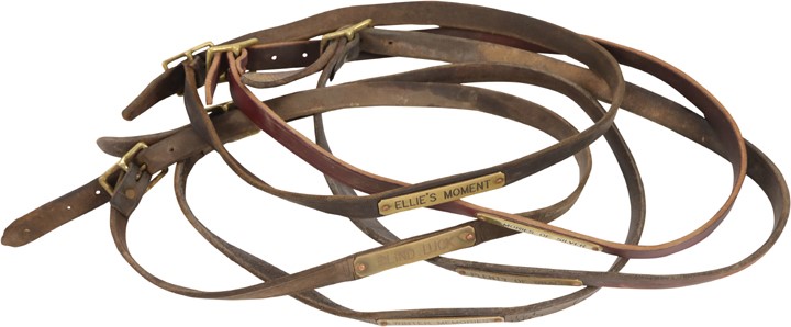 Collection of Worn Neck Straps (5)